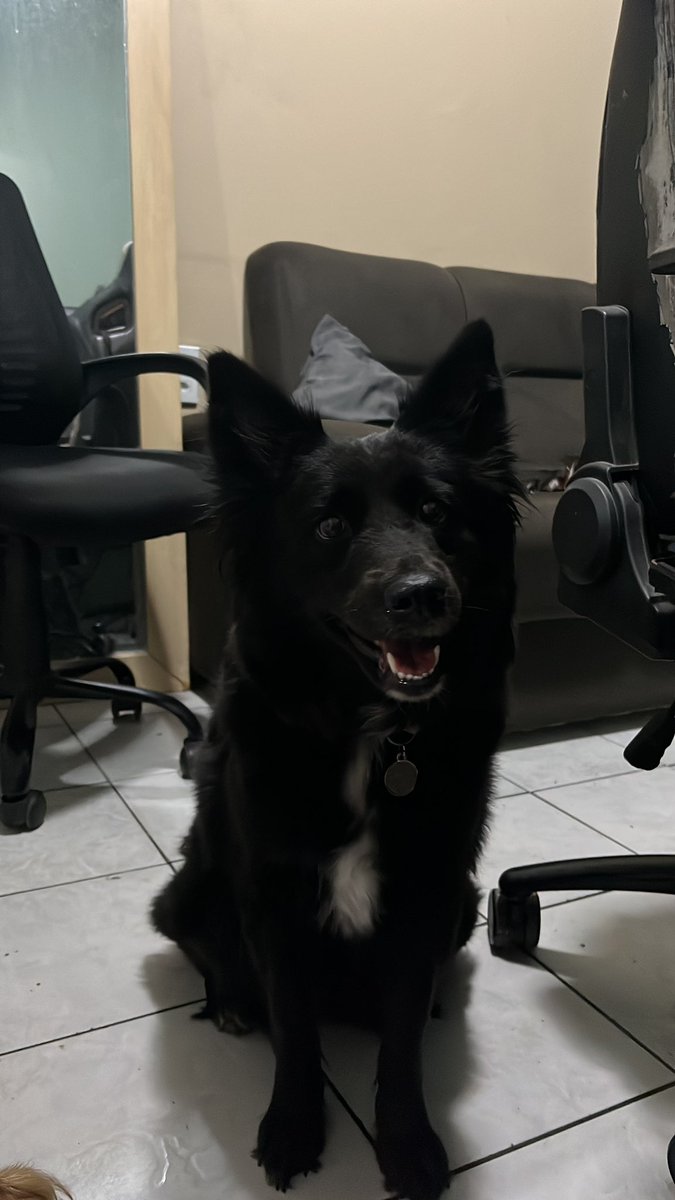 IOroski's tweet image. minha menina da mamãe 💕