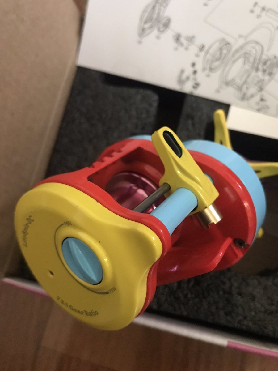 見た目は トイリール なんだけど DCシステム搭載機 と言う ギャップ