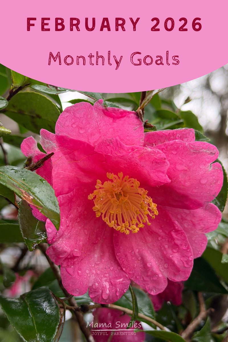 MaryAnne tweet media