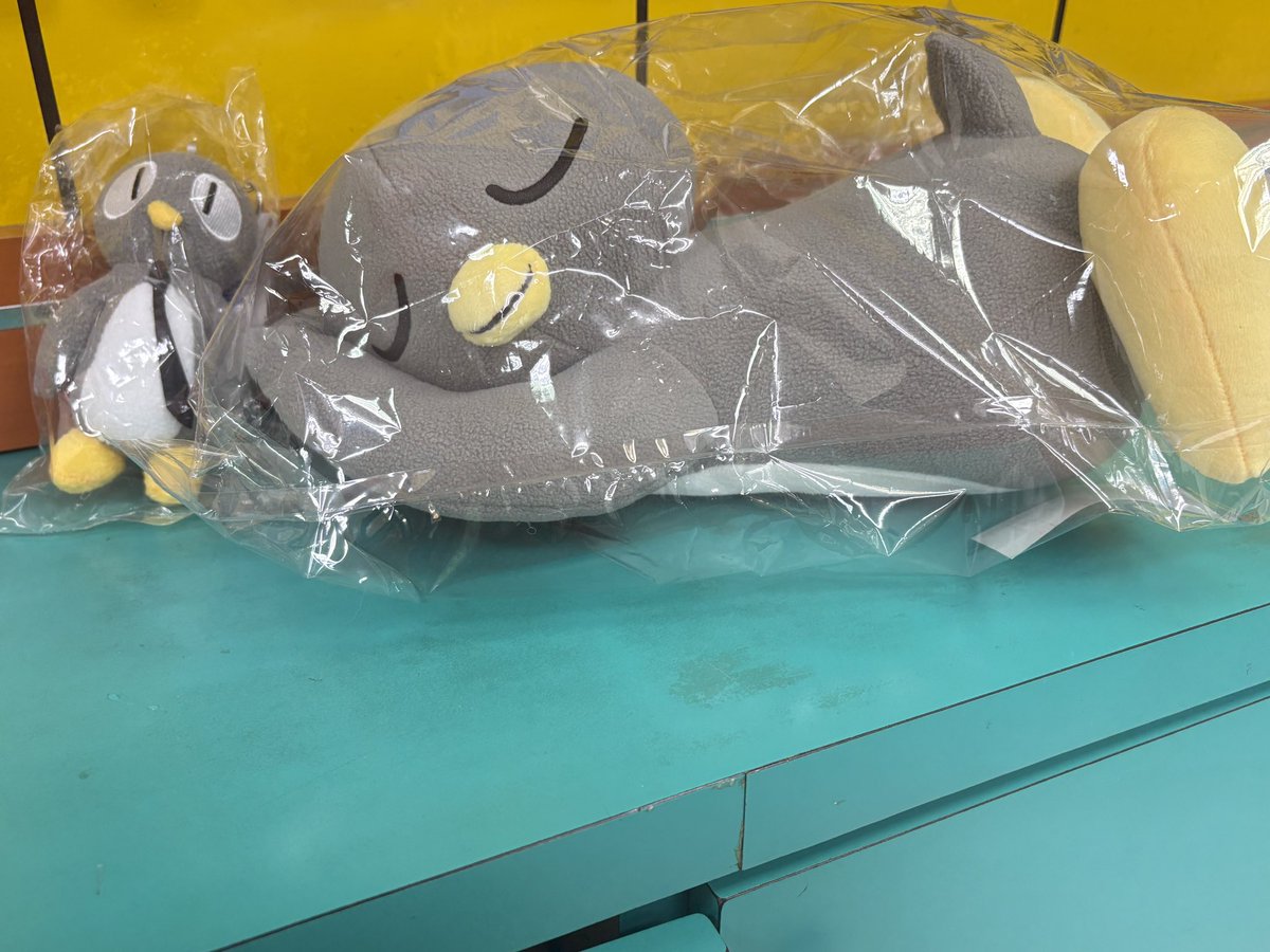 ♡⃝做你的貓❤️ ฅ^••^ฅ tweet media