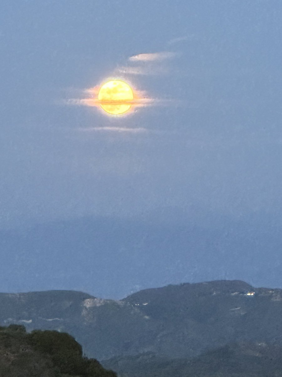 Maria Humphreys ✨Inspirational Speaker/Producer tweet media