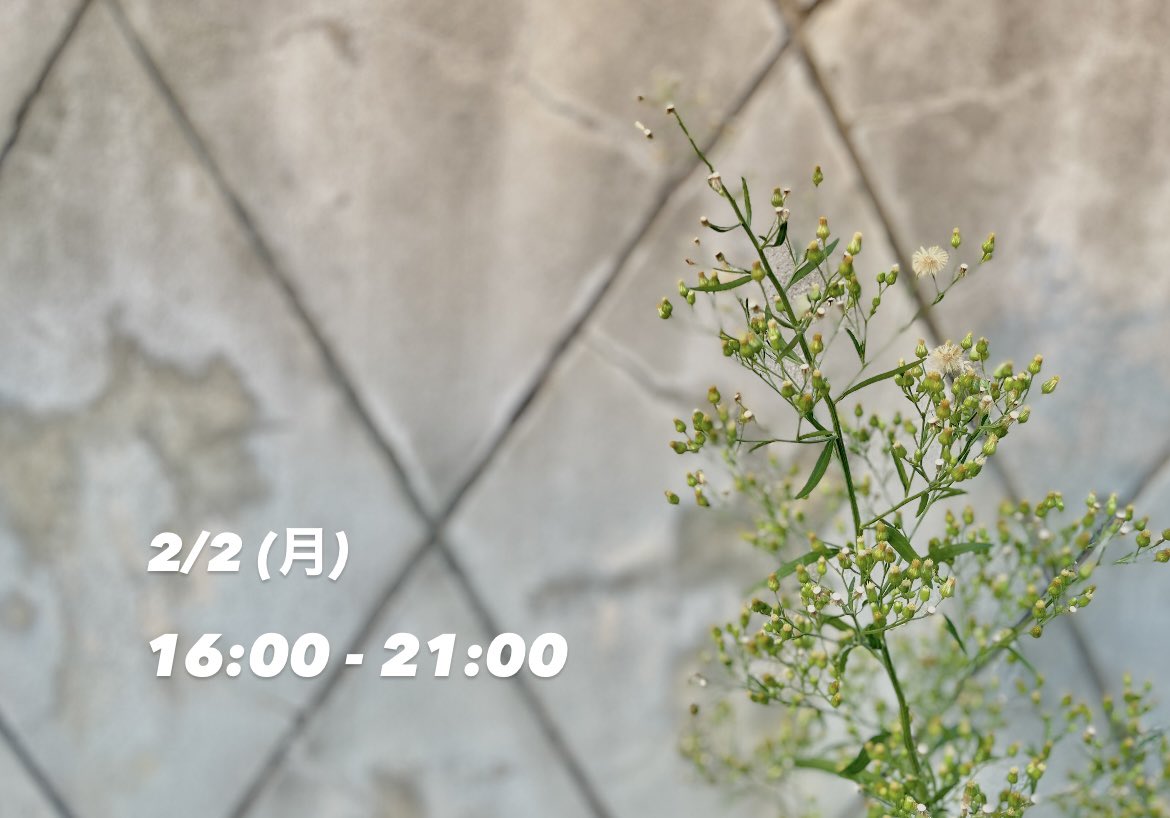 星屑珈琲 (@hoshikuzucoffee) on X