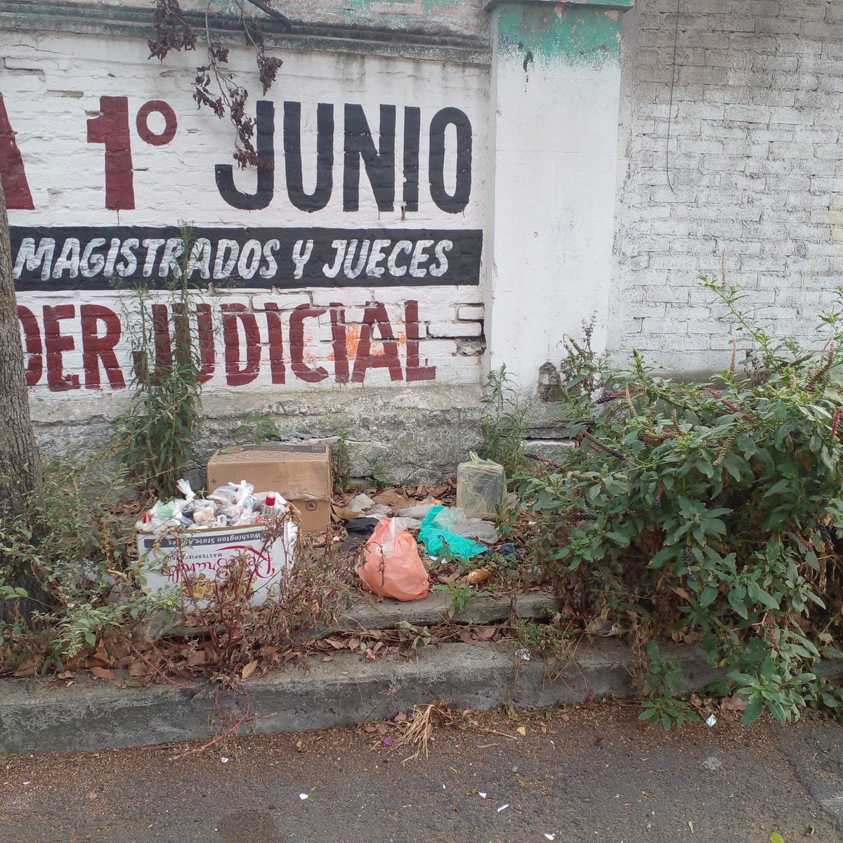 AAR_73's tweet photo. Por favor @LuisMendozaBJ  @AccionesBJ  envíen trabajadores de limpia a la calle de Giros Postales entre Calzada de Tlalpan y Certificados, colonia Postal, a limpiar la banqueta del terreno que era de Carpa Astros y que está llena de mucha basura y maleza. Gracias. https://t.co/x3N64D60KQ