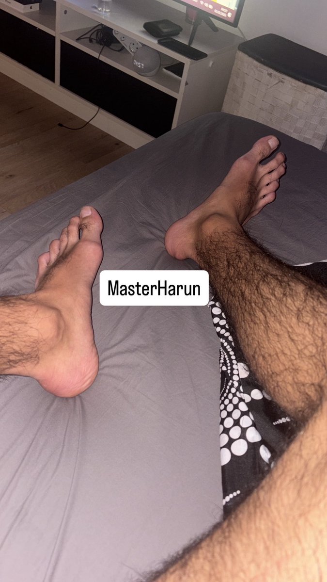 harun904 tweet media