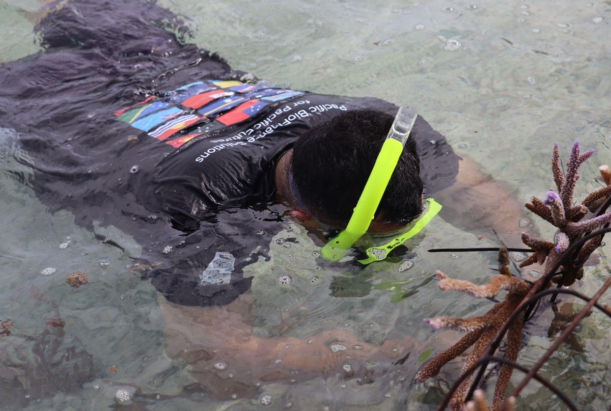 UNDP_Pacific's tweet photo. Why should the High Seas Treaty matter to the Pacific? Because we depend on healthy, well-governed ocean for food, livelihoods, culture &amp; climate resilience. In this blog, we explore the significance &amp; what it could mean for generations to come.
Read more: https://t.co/EILlhqqDwE https://t.co/YPcIEYEksd