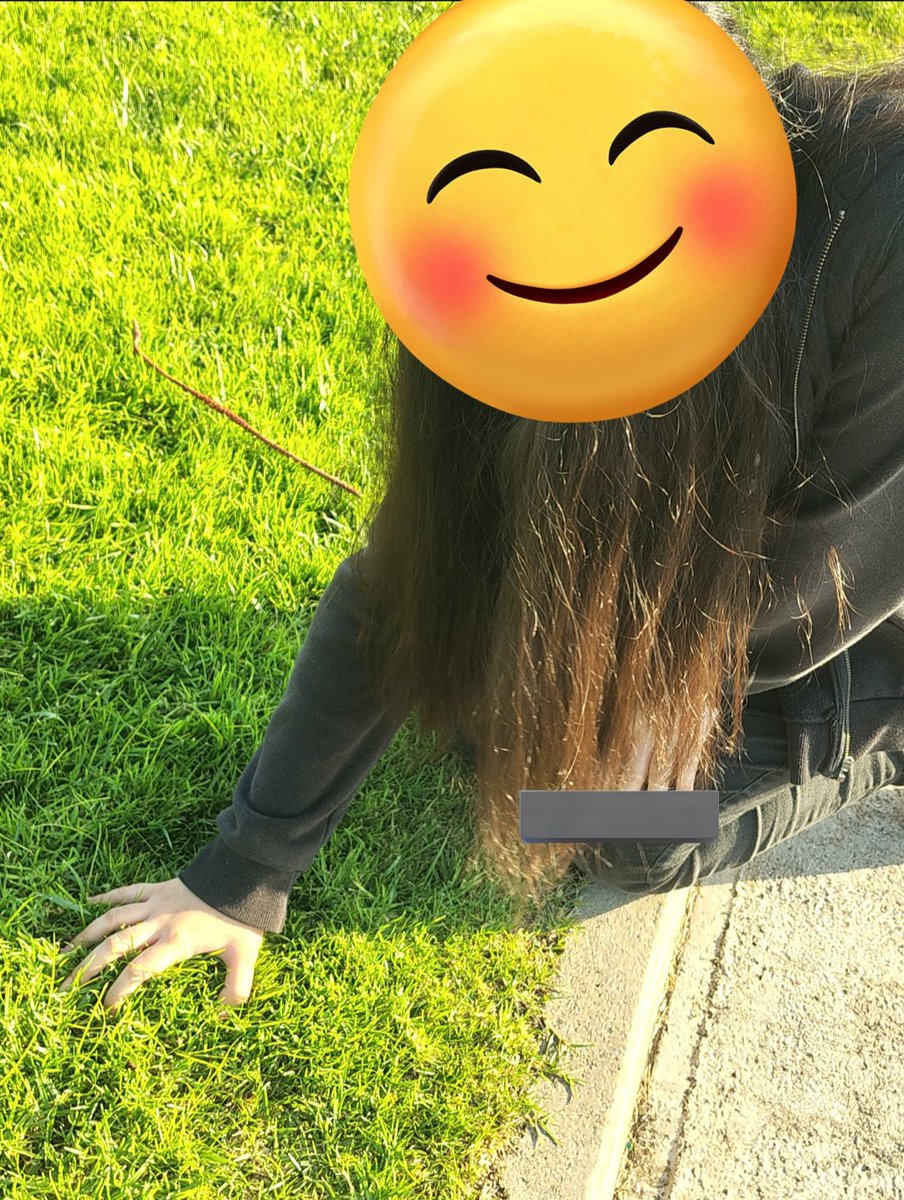 NEVER SAY A ROADY CANT TOUCH GRASS