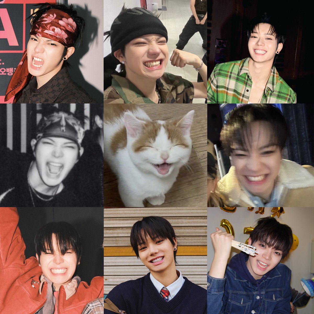 prodbyohyul's tweet image. I LOVE CATS😸♥️