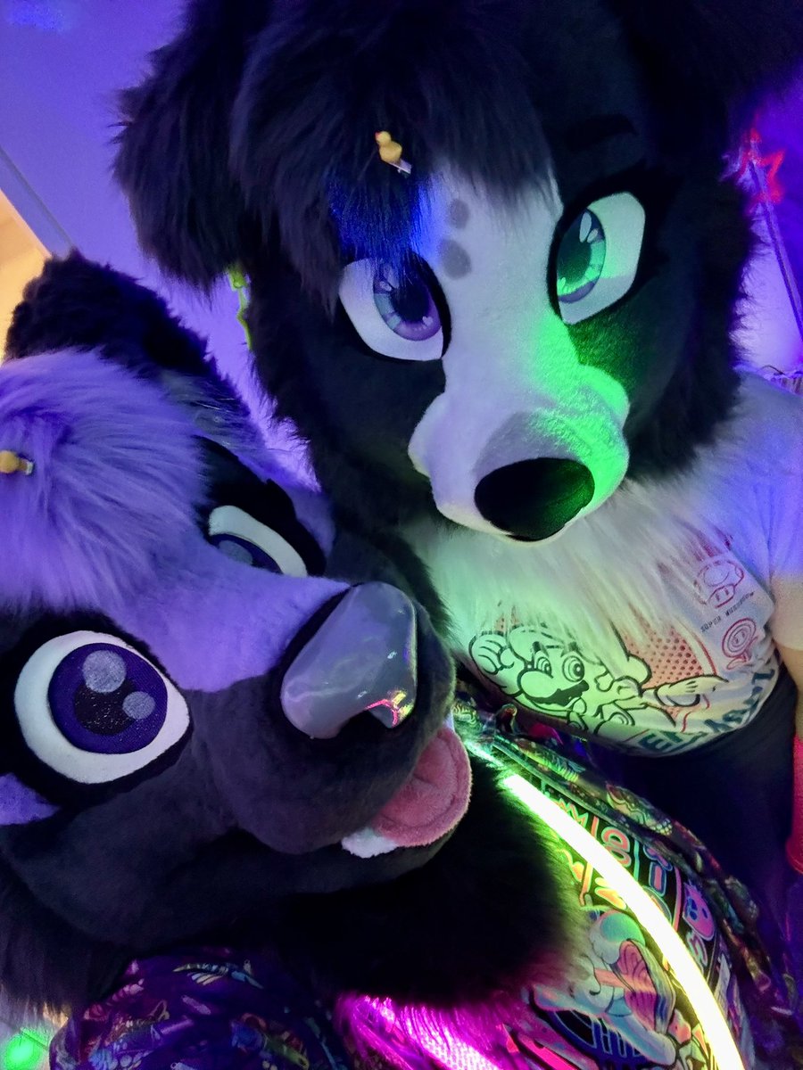 💜 Zee 💜 tweet media