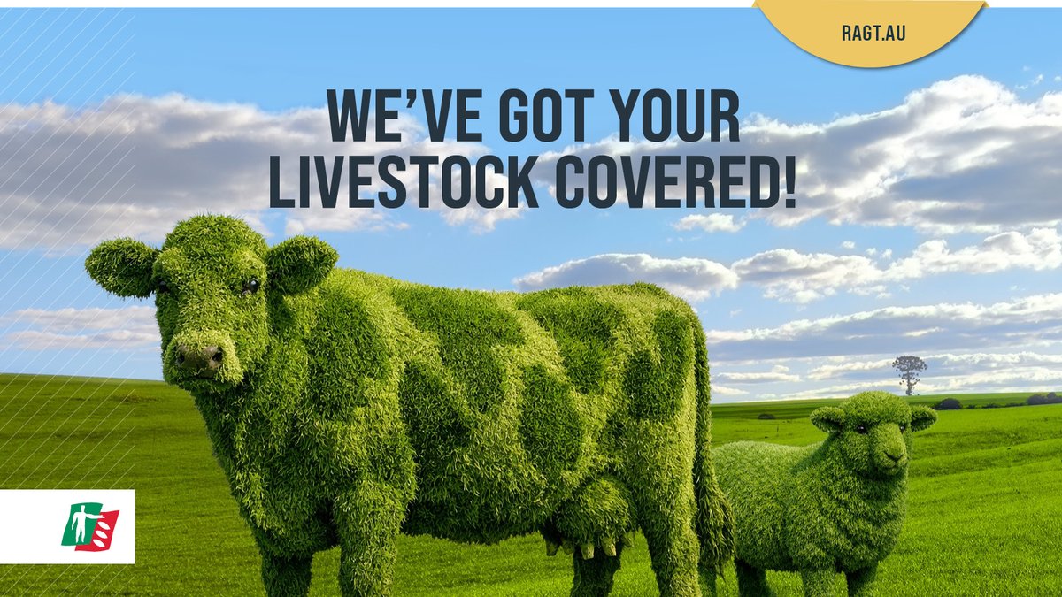 RAGT - Australia tweet media