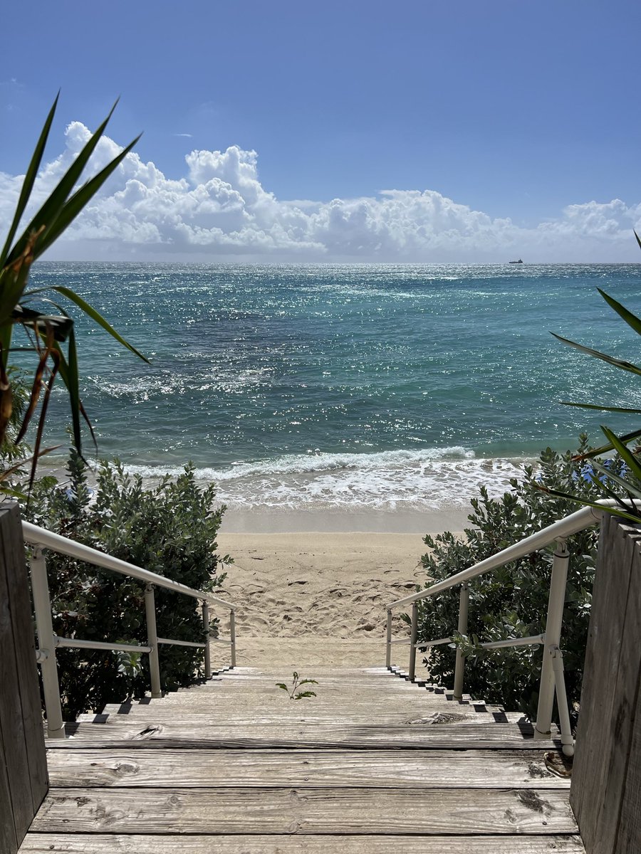 Libertarian Correntina⚖️💅🏻 tweet media