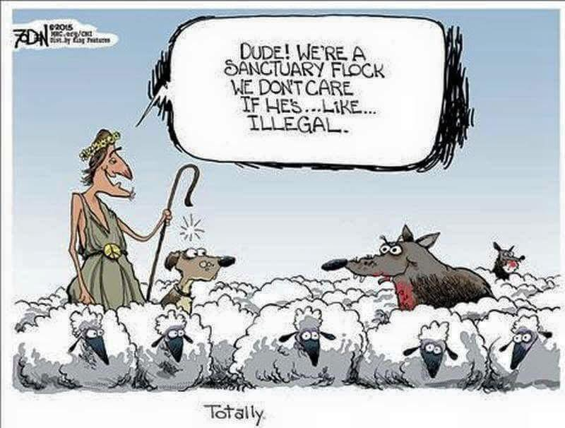 Den Gormley (@gormleyden) on Twitter photo 