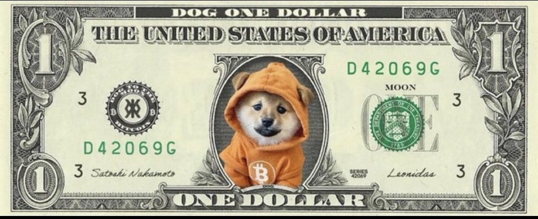 Pixeell's tweet photo. $DOG TO $1 🚀🚀 https://t.co/oTSHGHcm7W