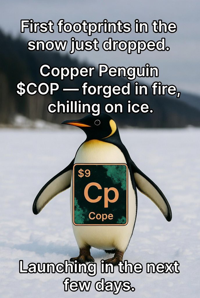 🦅 BIG RIDZY 🥷 tweet media