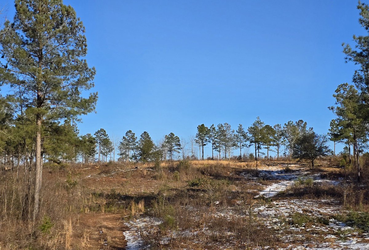 Jeff Warne tweet media