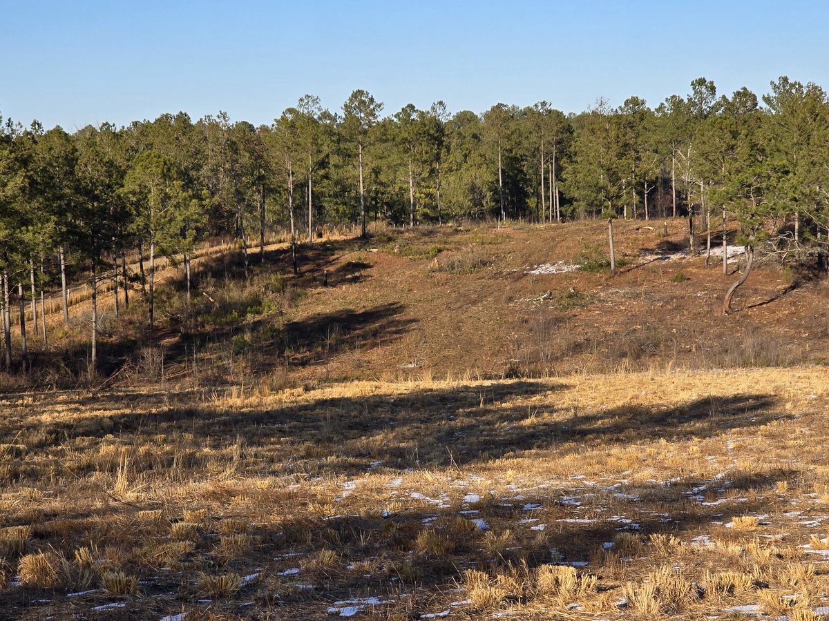 Jeff Warne tweet media