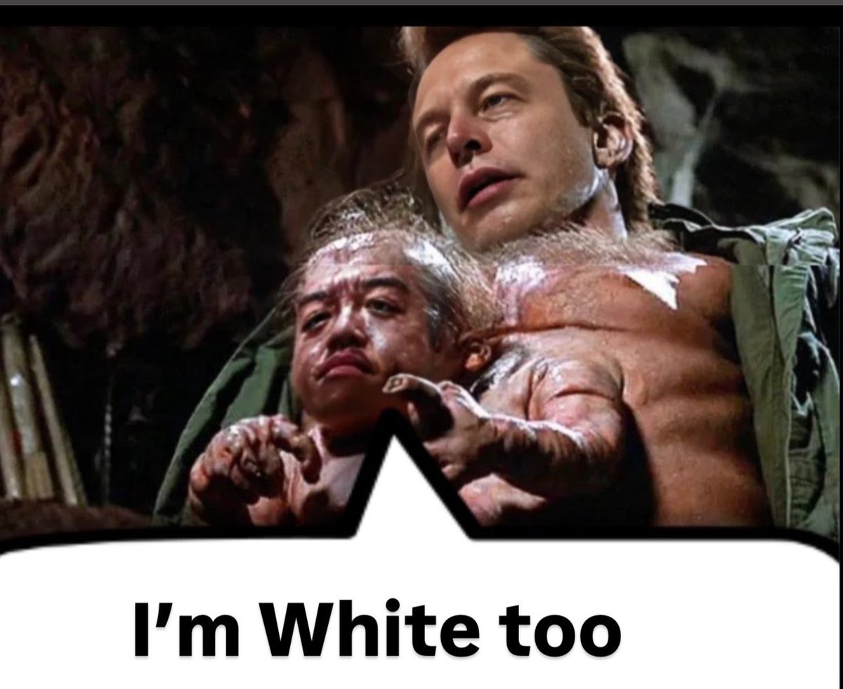 George 🔔 tweet media