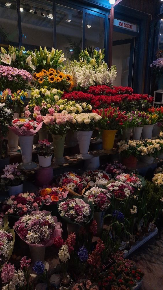 i3Moment's tweet image. Flowers