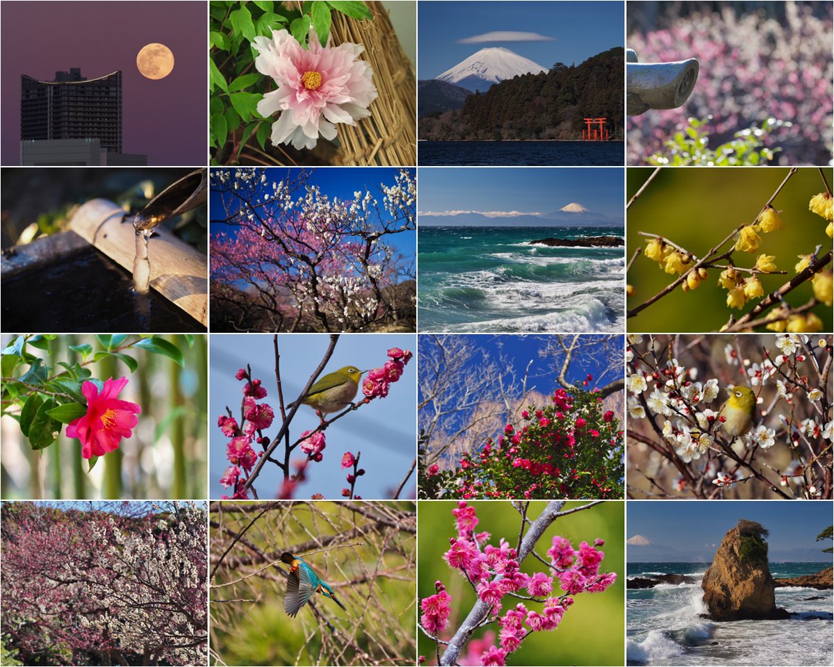 ハニーフラットページです♬  arty ⁸₂₂🎸📷🍜🍶 (@backyard822) / Posts / X