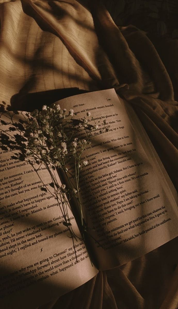 spearsgreeves's tweet photo. ⌗ 📚. 𓂃  ʟɪᴠʀᴏs ʟɪᴅᴏs ᴇᴍ 2026, ᴀ ᴛʜʀᴇᴀᴅ!  
       "ꜱᴇ ɴᴀ̃ᴏ ꜱᴀʙᴇ ᴘᴀʀᴀ ᴏɴᴅᴇ ɪʀ, ᴇɴᴛᴀ̃ᴏ
QᴜᴀʟQᴜᴇʀ ᴄᴀᴍɪɴʜᴏ ꜱᴇʀᴠᴇ." - ᴀʟɪᴄᴇ ɴᴏ ᴘᴀɪ́s ᴅᴀs ᴍᴀʀᴀᴠɪʟʜᴀs https://t.co/CDVeq0AoR6