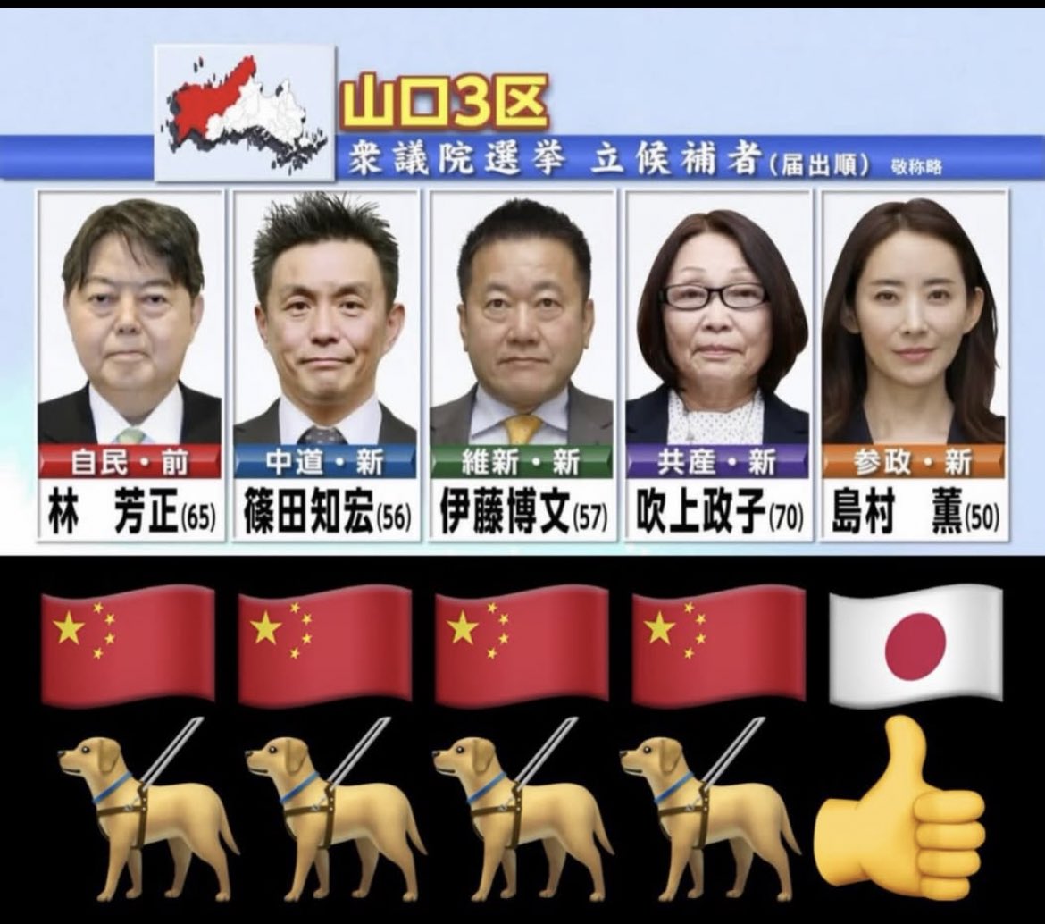 反共💗 Taiwan-我是臺灣人 tweet media