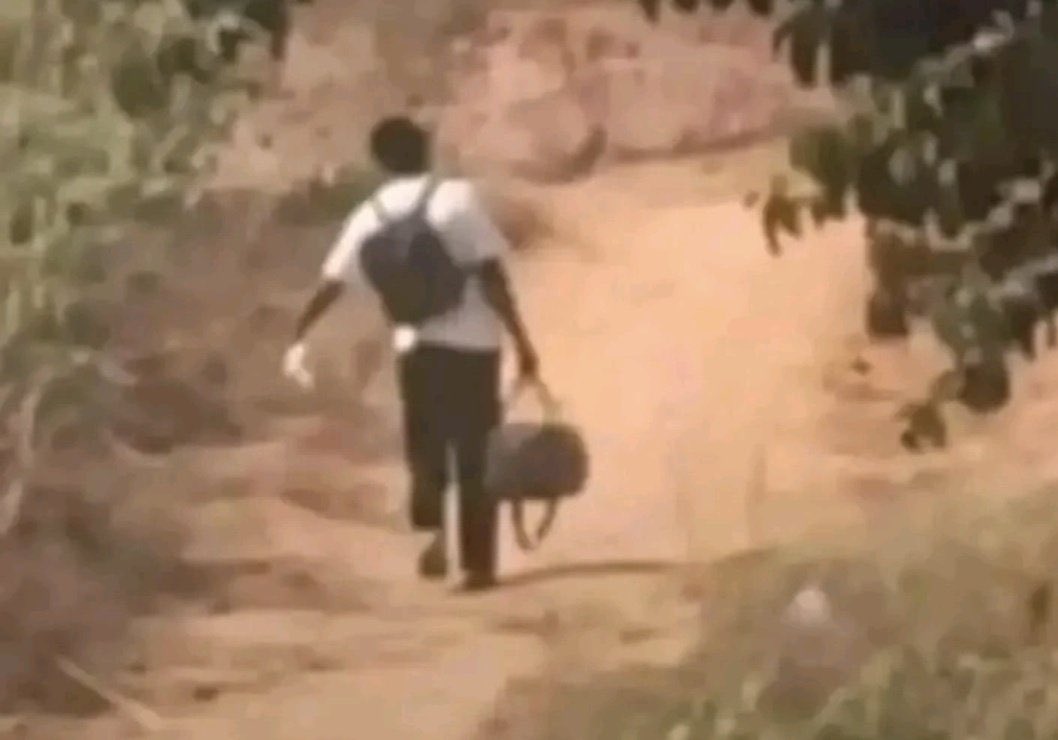 dunnyfave🤿 tweet media