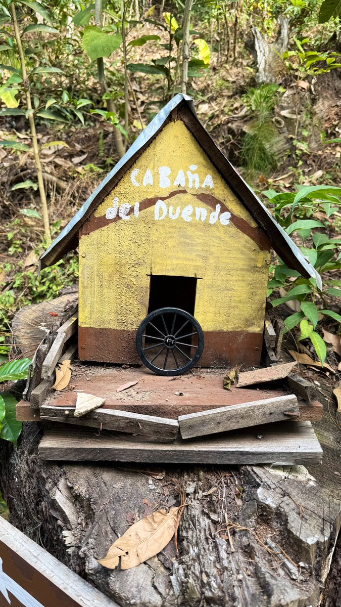 La cabaña del duende y las historias de mi familia ❤️
!Amo los domingos así!