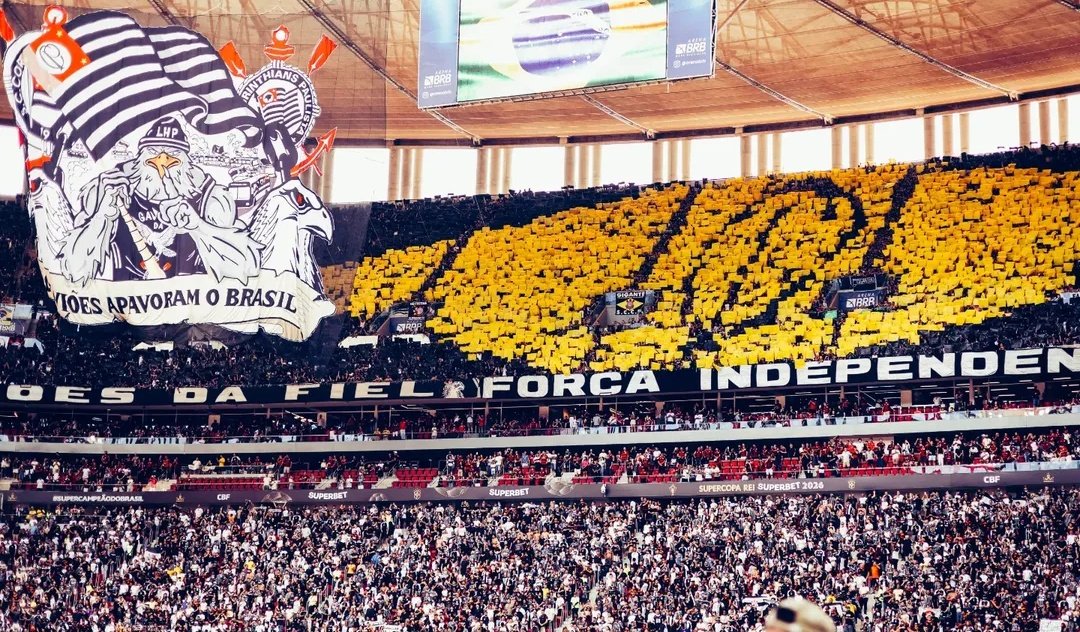 rodriguesˢᶜᶜᵖ tweet media