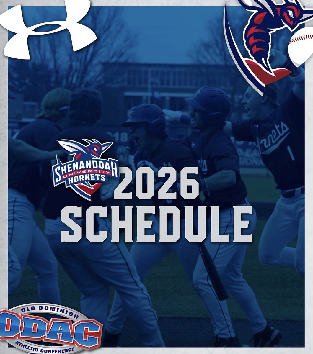 CJ Morton tweet media