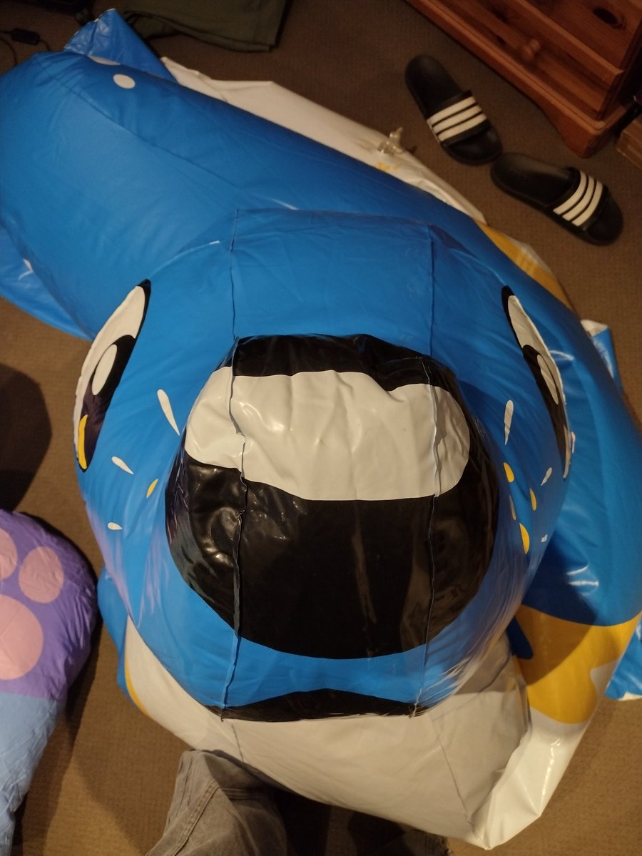 🐾 𝕮𝖔𝖒𝖊𝖙 🎈 tweet media