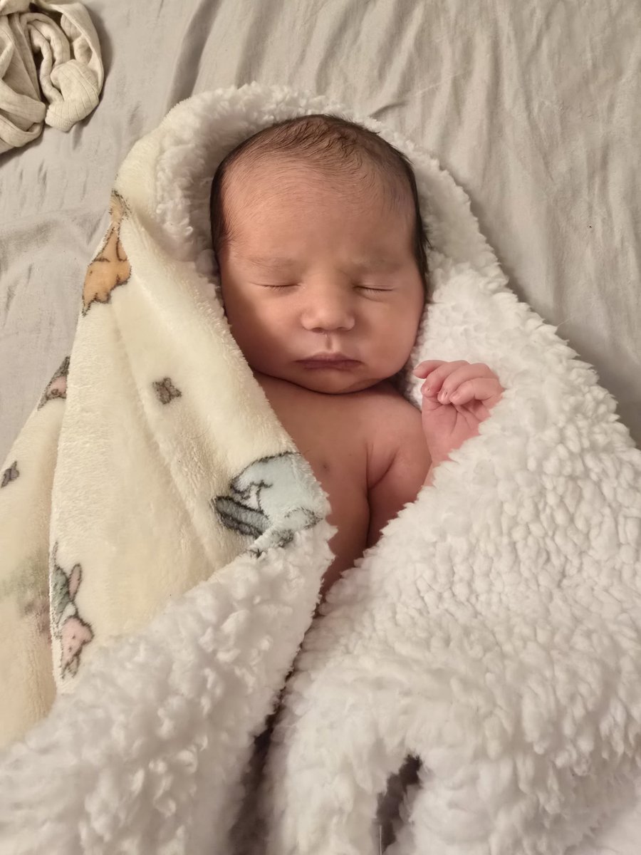 Meli🍯🐝 tweet media