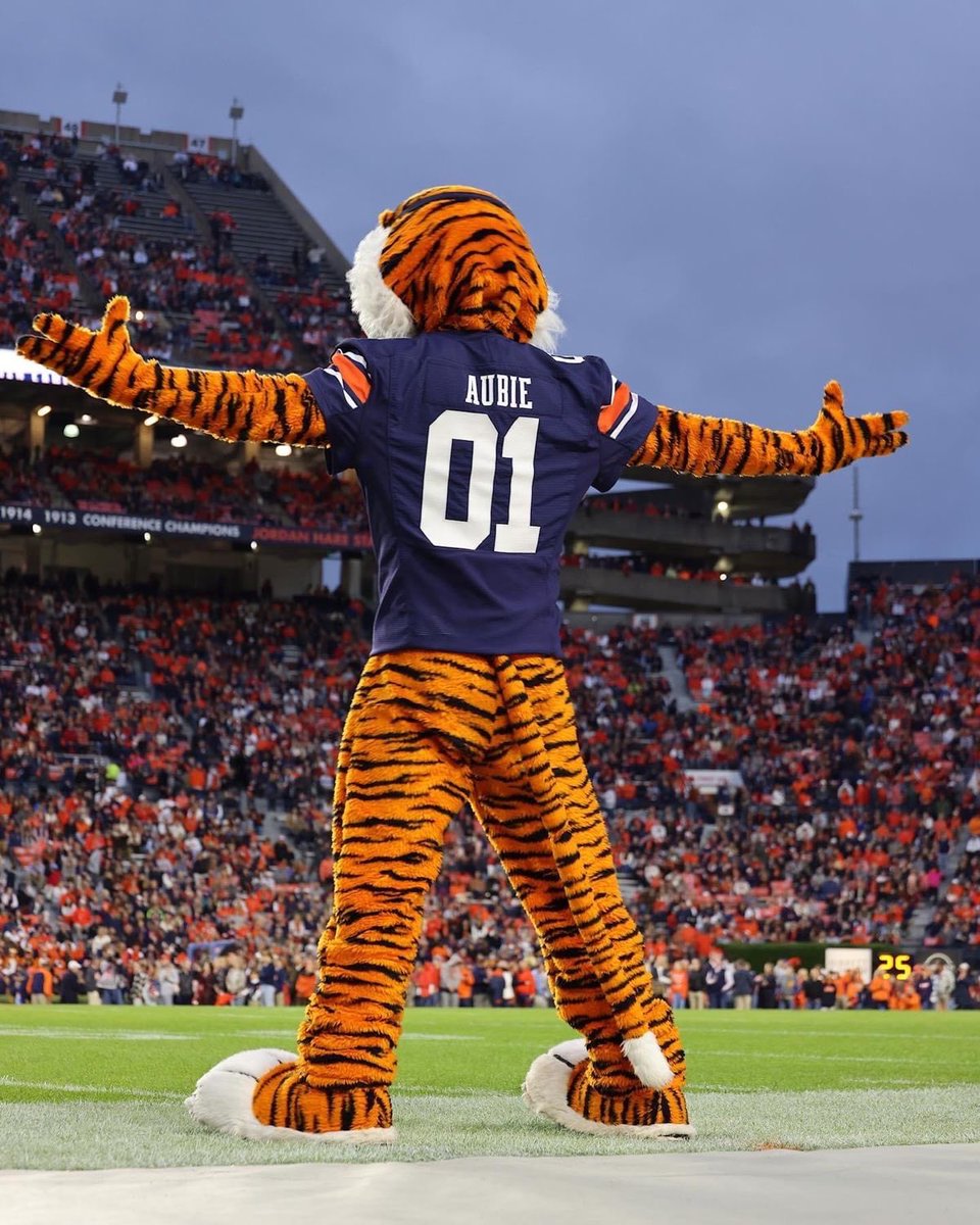 Cyion Smith 4⭐️DB tweet media