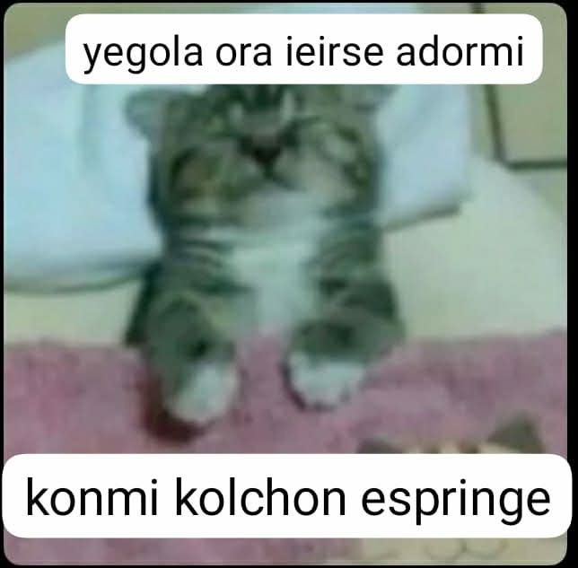 Con_F_De_Fafnir's tweet photo. @BasuraGalactik https://t.co/iXYc8ON5TR