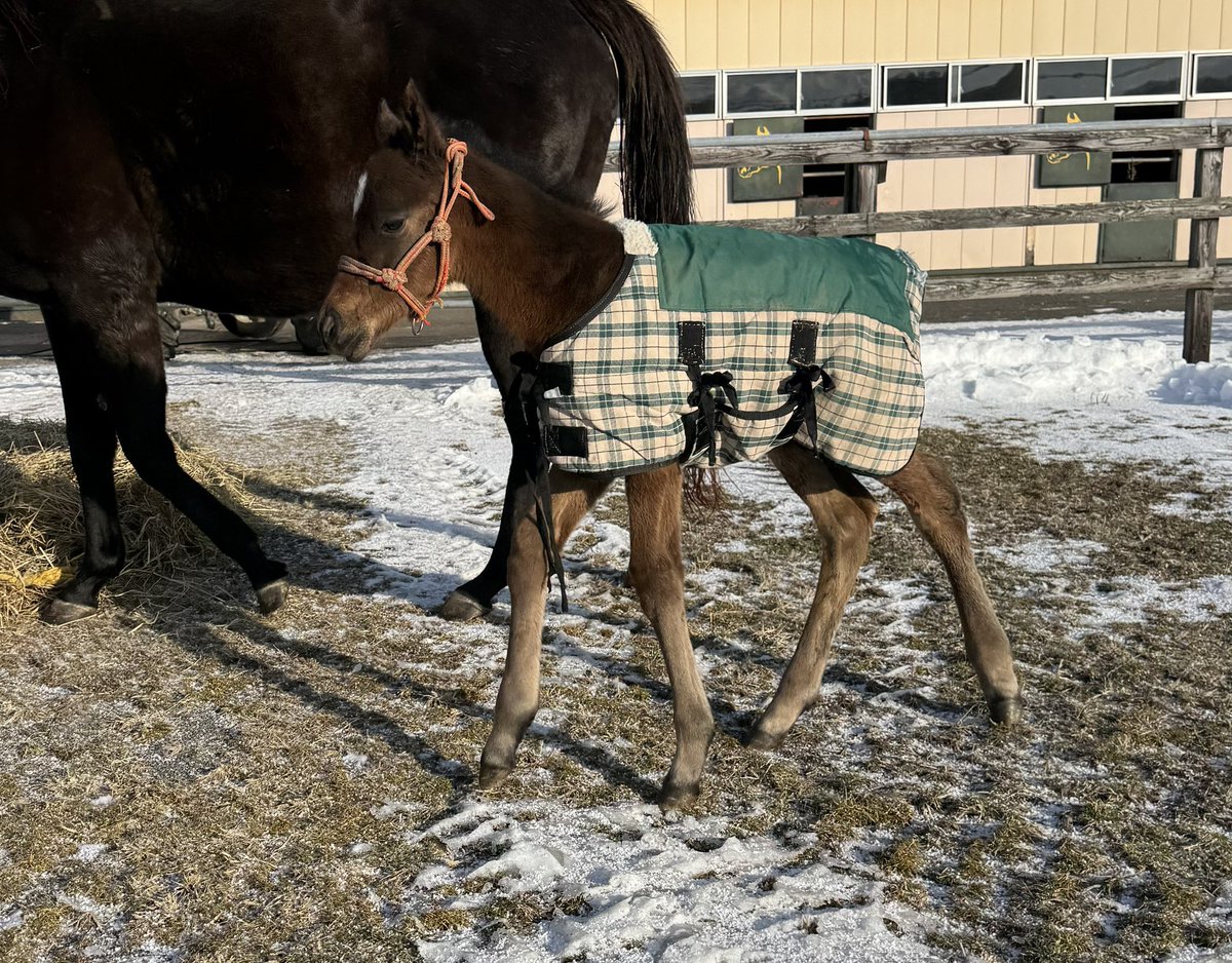 水ノ素 (@s_o_p00) / Posts / X