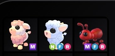 Anyone wanna offer for these? 

LF other neons/megas, other offers