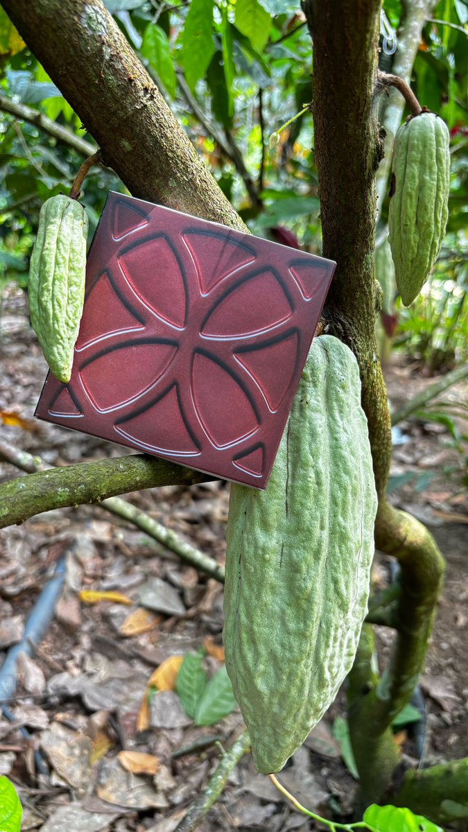 DARÏKU CHOCOLATIER tweet media