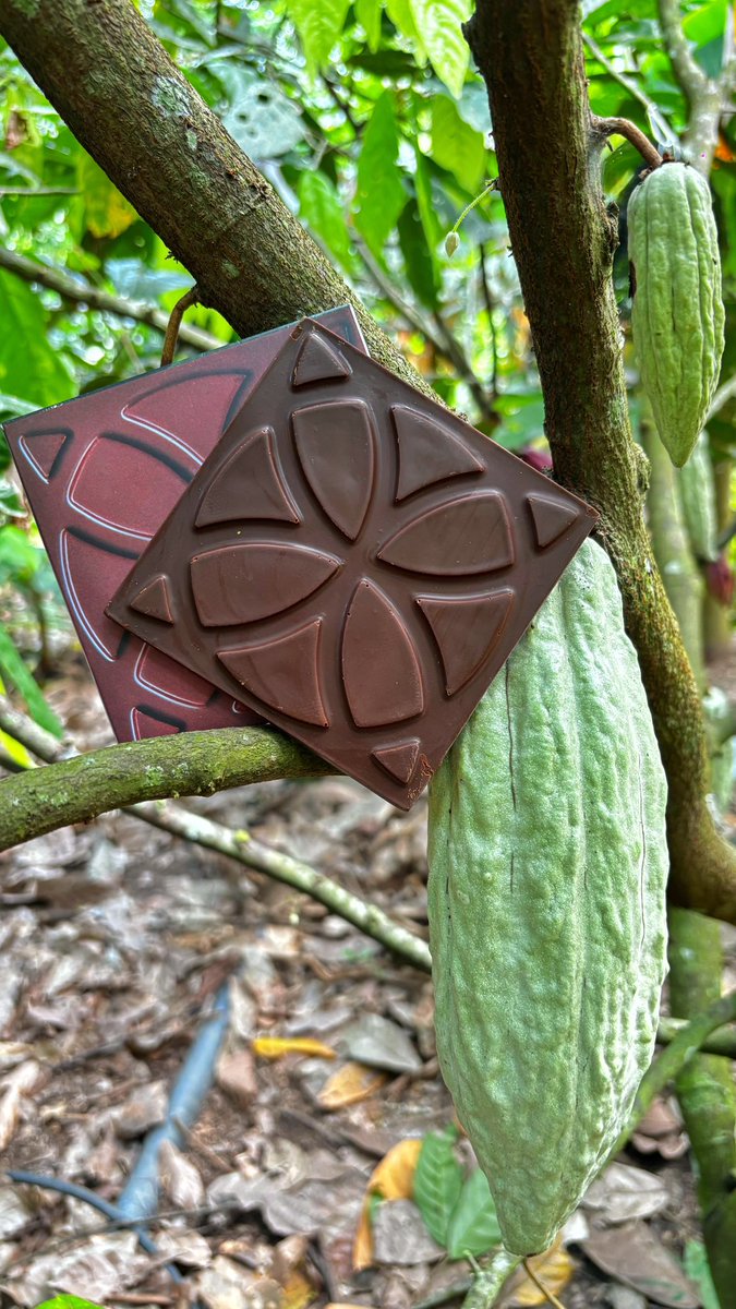 DARÏKU CHOCOLATIER tweet media