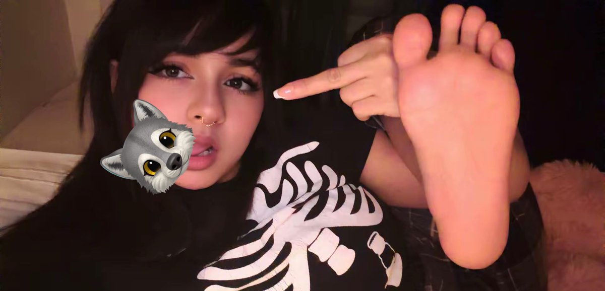 kat /ᐠ - ˕ -マ tweet media