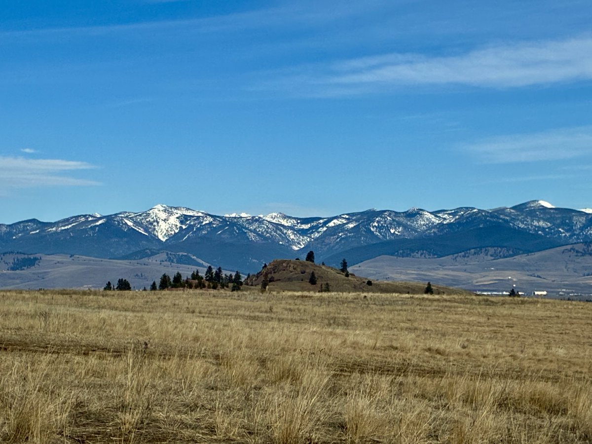 Sally Mauk tweet media