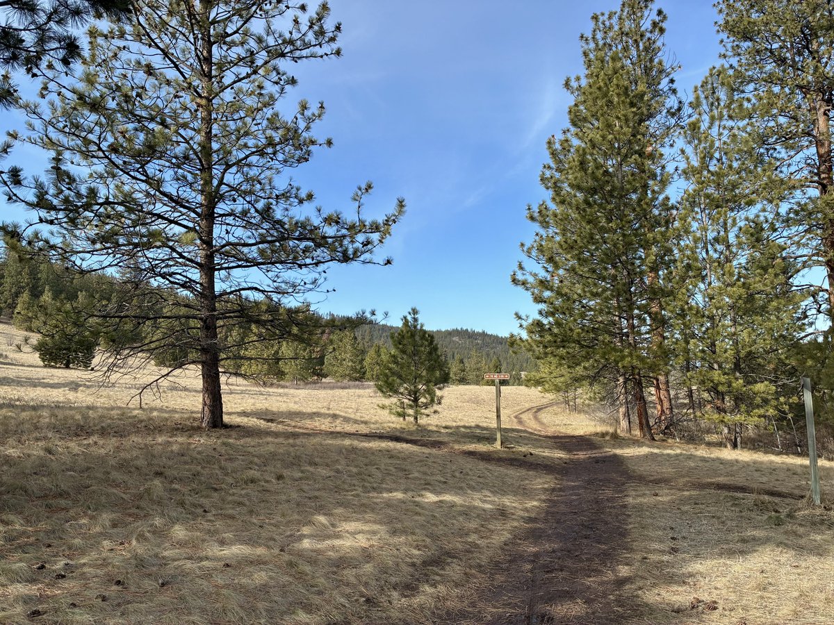 Sally Mauk tweet media