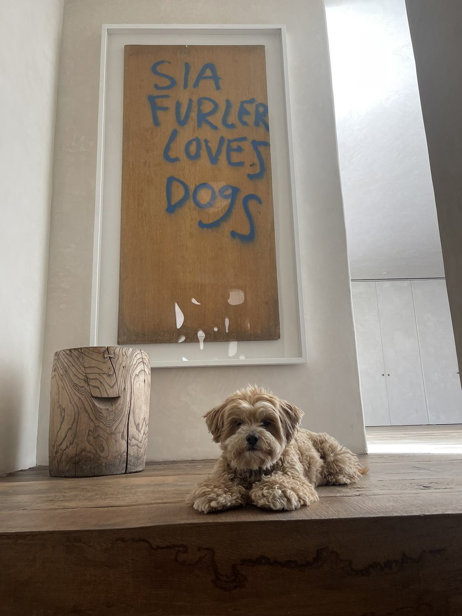 sia (@sia) on Twitter photo 