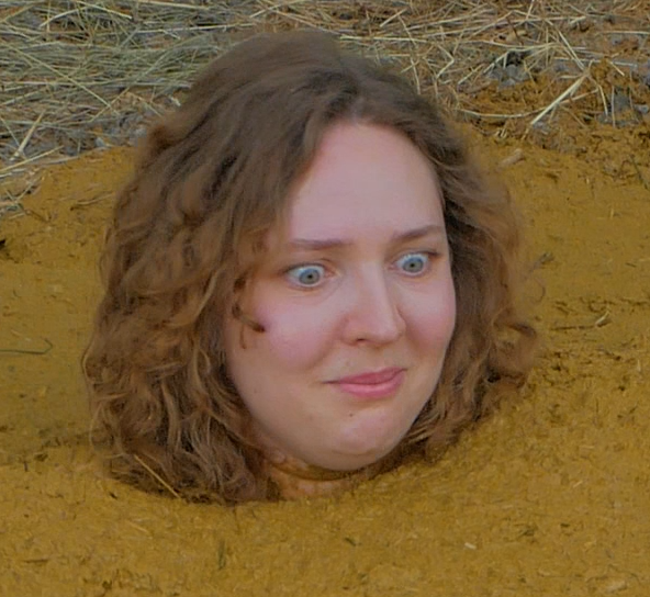 QS4mation tweet media