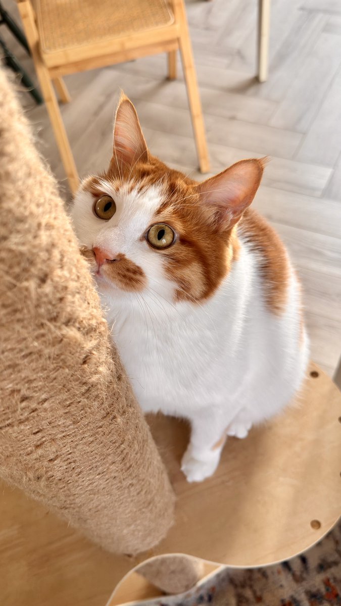 Anthony (@anthony20211117) on Twitter photo 