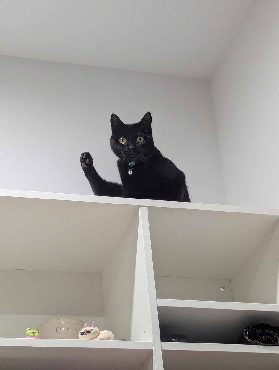 vclaylien tweet media