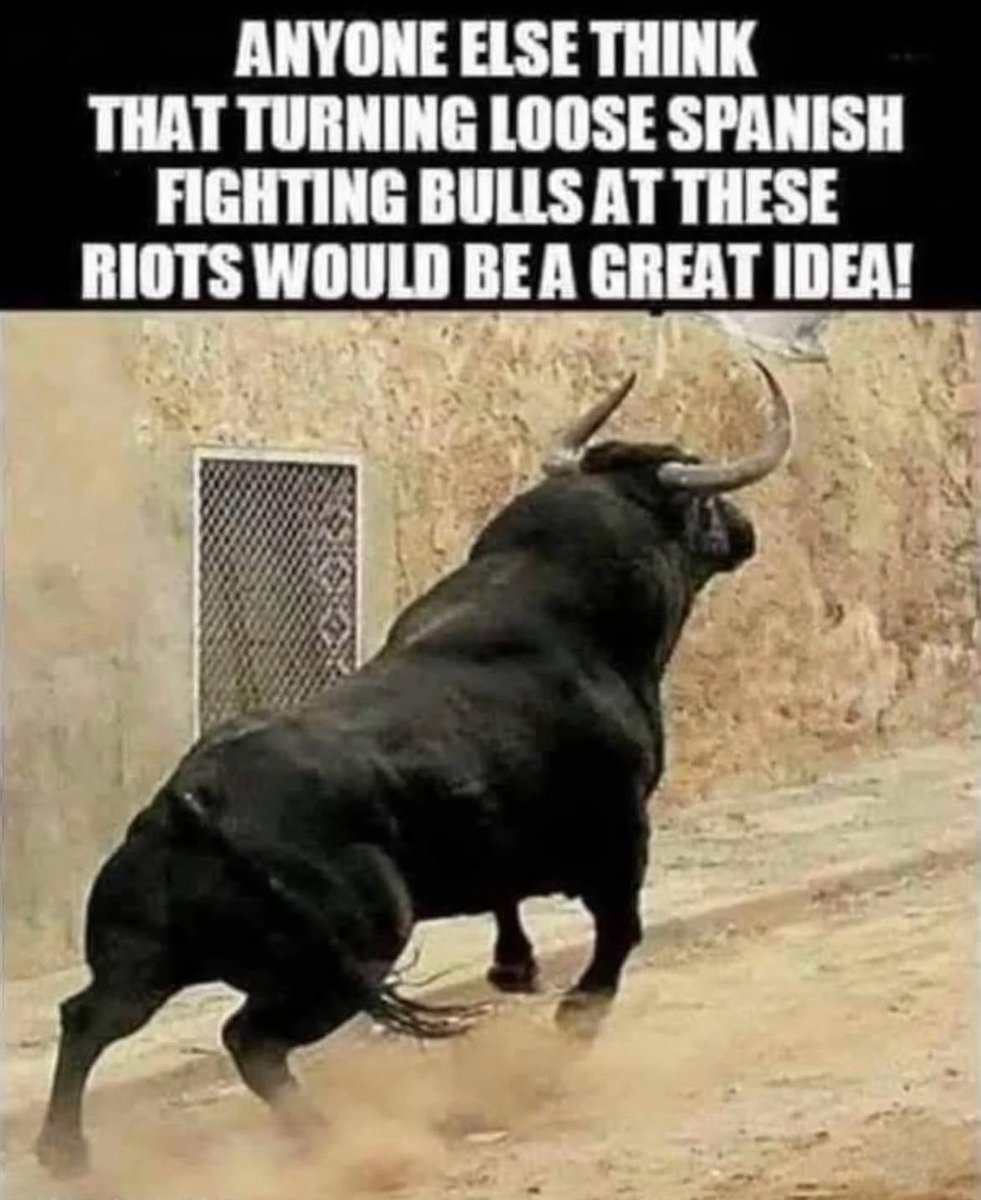 sizzle_sarah's tweet photo. I think it’s a fantastic idea. Don’t you? https://t.co/AAYln5vYC6