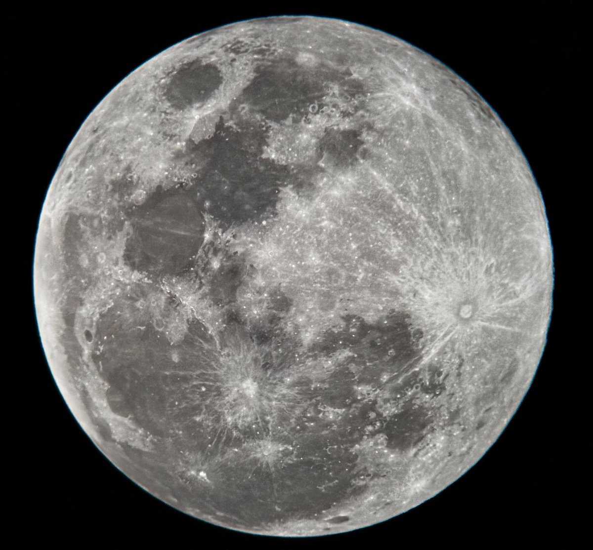 بدر شعبان🤍