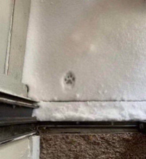 natalienunnstan's tweet image. WHO DID THIS????              i did 🥹