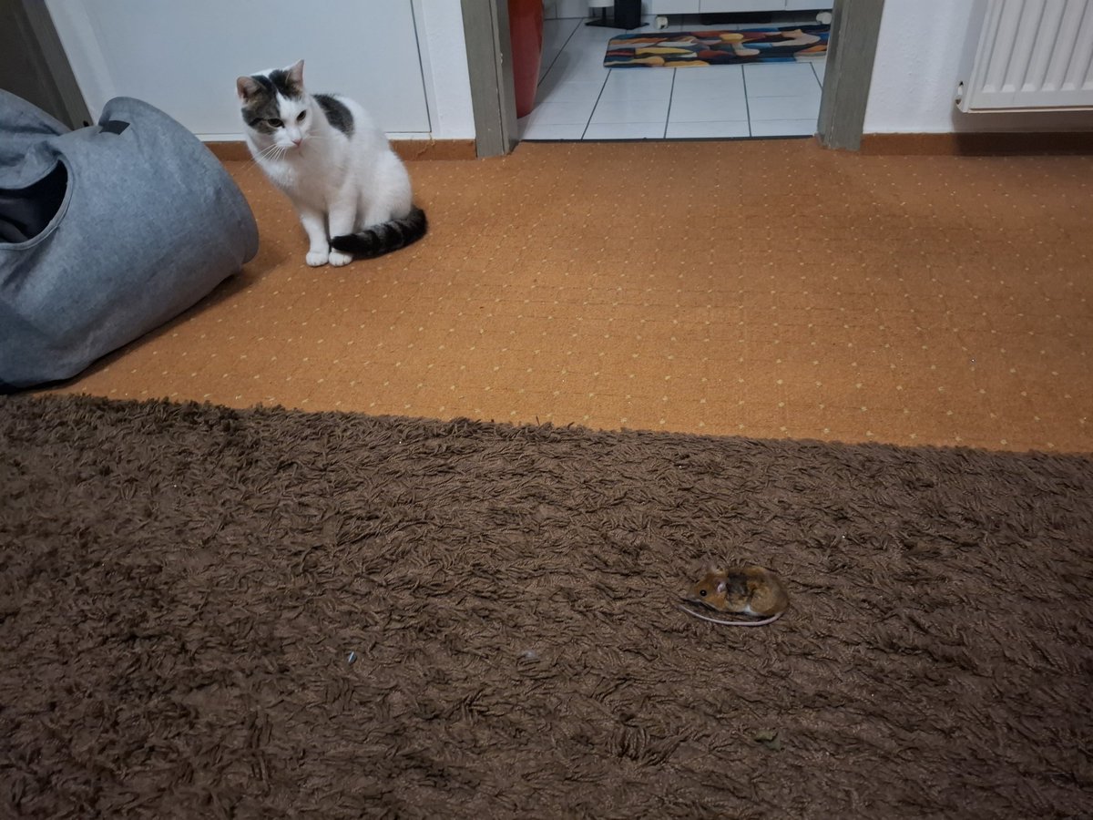 Ganz stolz ist er auf seinen Fang trotz Schnee