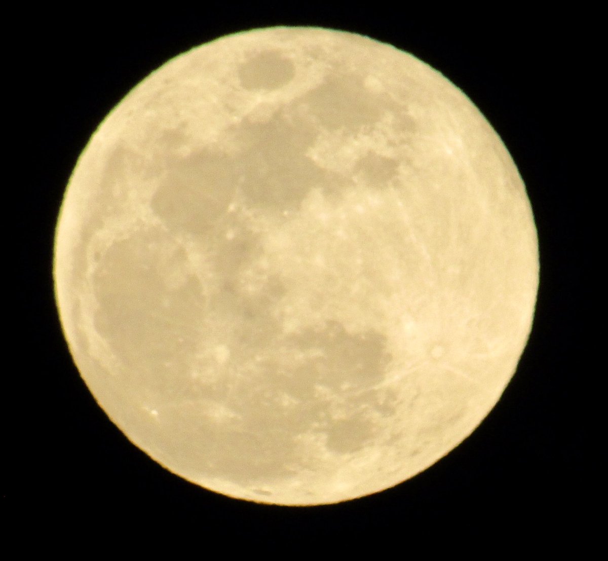 Meghan Benoit tweet media