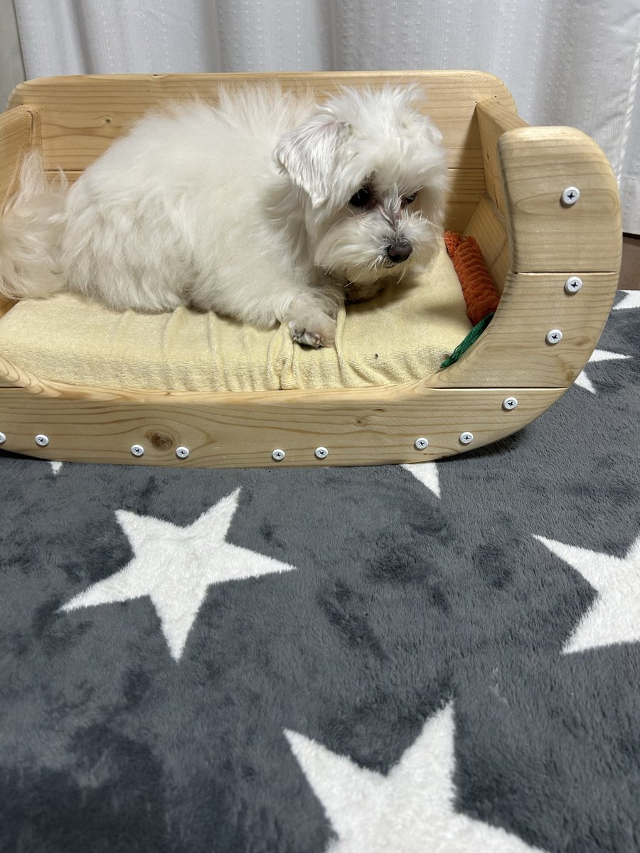 ハルくん (@9Z8lquSv8B3FMpN) / Posts / X