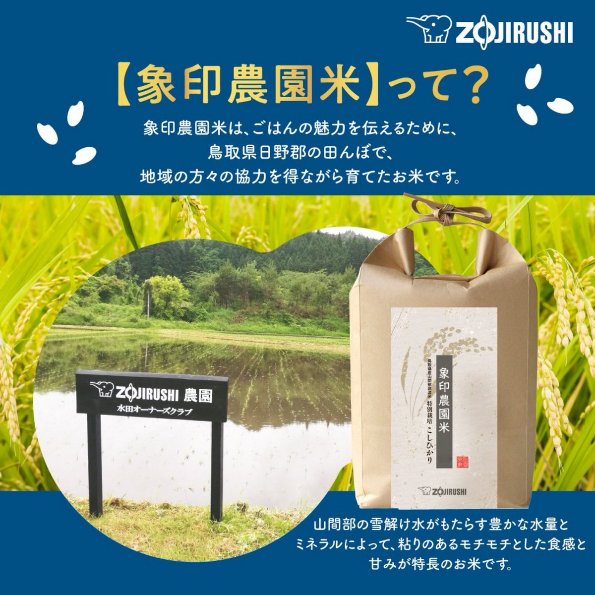 おはぞう～🐘

／
🍚象印プレゼントキャンペーン
象印農園米5kgを20名様に🎁
＼

偉い人に直談判して20名様分確保したぞう🐘
みんなの応募待ってるぞう！

▼応募方法 
① <a href="/zojirushi_JPN/">Zojirushi（象印マホービン公式）</a> をフォロー 
② この投稿をリポスト
当選者には2月下旬にDMでご連絡